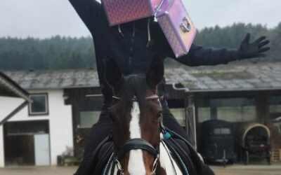 Pferdehalterhaftpflicht: kein Versicherungsschutz bei grober Fahrlässigkeit!