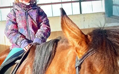 Welche Versicherungen Du als Reitbeteiligung unbedingt brauchst