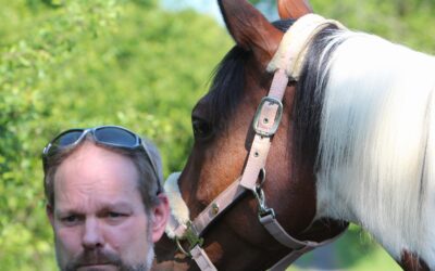 Urteil: Halterin haftet nach Sturz – sind Haftpflichtversicherungen also nutzlos?