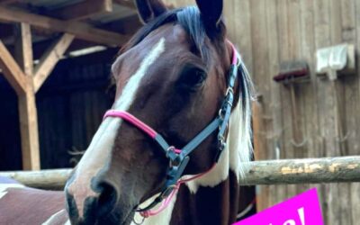 BU-Absicherung für Kinder – warum?