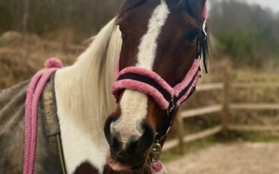 Makler-Alltag Part V: Kommunikation für die Klapse