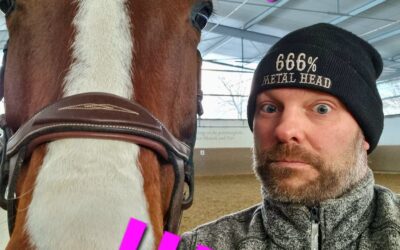 Warum eigentlich Vollmandat?