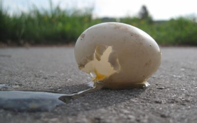 Es hat sich ausgesmigelt…